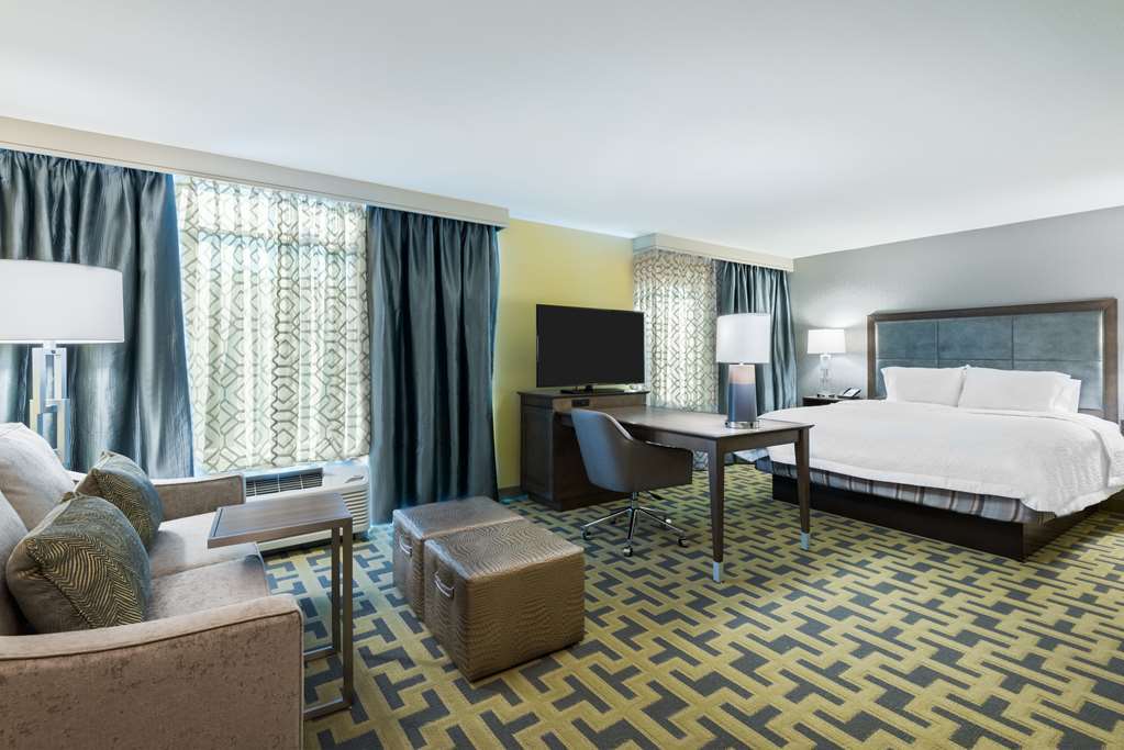 Hampton Inn & Suites Atlanta Buckhead Place Værelse billede