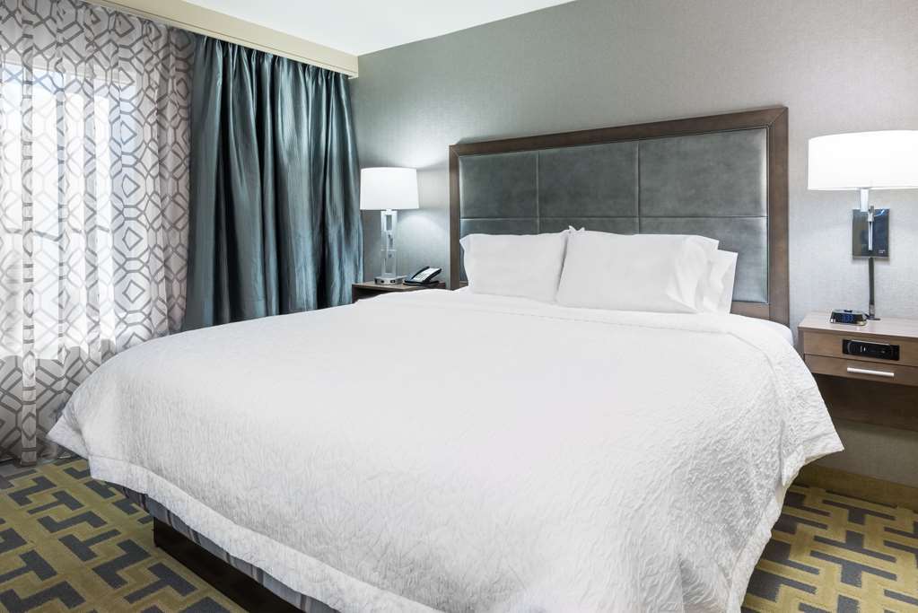 Hampton Inn & Suites Atlanta Buckhead Place Værelse billede